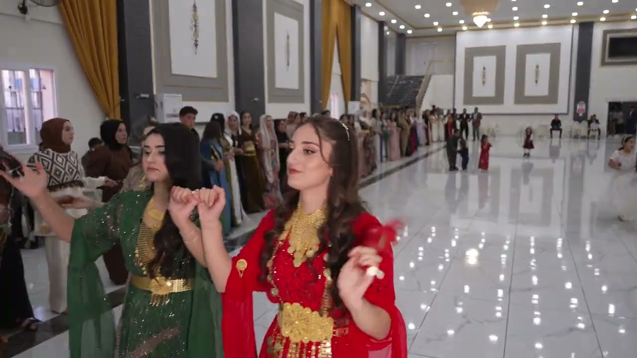 Halil Yigit Dügünü Part 1 ( Grup Temer Silopi ) 2024