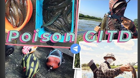 LÓC - TÁP LÀ ĐÓNG. Điểm đẹp cá khủng