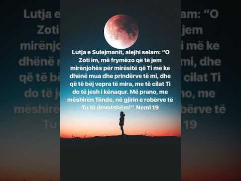 lutje profetike