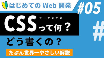 Web開発（入門）05｜CSSとは何か？どう書くのか？世界一やさしい解説【初心者向け】【プログラミング】