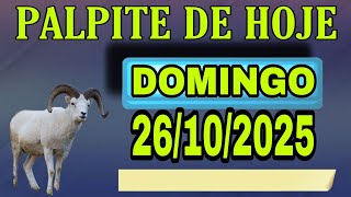 PALPITE DO NETO 26/10/2025