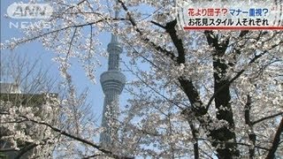 花より団子？マナー重視？花見スタイル人それぞれ（12/04/08）