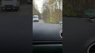 В лісі сьогодні АНШЛАГ🙃