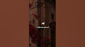 #المنشاوي #اكسبلور #قرآن #تلاوة_خاشعة #لايك #المصحف