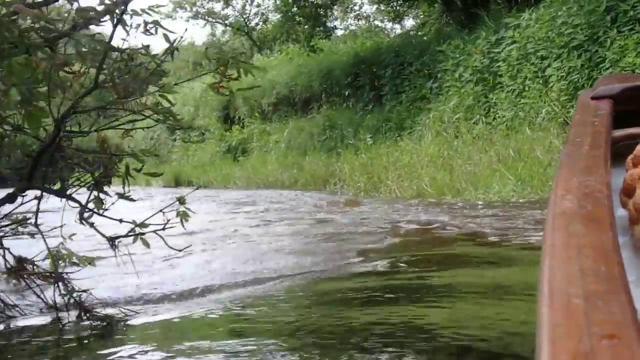 Cooks Creek near old Henderson Hwy YouTube