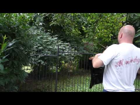 Natural Way To Kill Yellow Jacket Nest Natural Way To Kill Yellow Jacket Nest