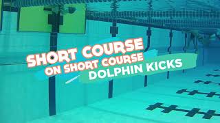 A Short Course from Short Course!