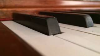 IMG 1605