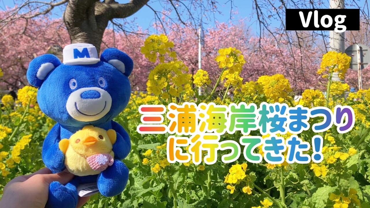 【Vlog(2026/2/19)】三浦海岸桜まつりに行ってきた！~I went to the Miura Beach Cherry Blossom Festival!~
