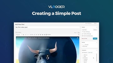 02. Creating a simple video post  - VLOGGER - Video WordPress Theme