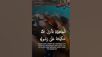 من نعيم الآيات 🌻 تلاوة رائعة للشيخ أحمد العجمي من سورة الفتح .