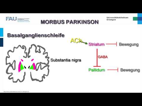 Neuropathologie ─ Entstehung von Morbus Parkinson