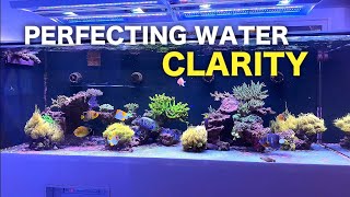 EASY ways to improve water clarity in your reef tank!