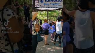 TuneBugz live Music