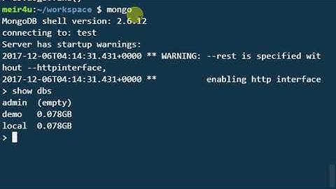 Mongo Shell Basics - "Show Database Names"