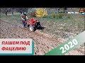 Вспашка 10 соток под фацелию 2020 мотоблоком FORTE 10 л.с.