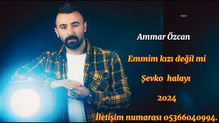 Ammar Özcan Şevko halayı 2024  Halil hanedi Resimi