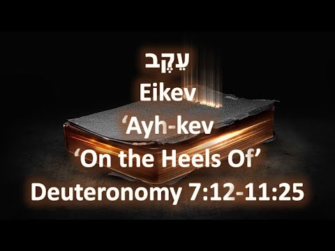 Consequently (Torah Portion: Eikev) 2020 - 2021