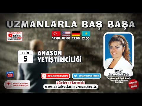 Uzmanlarla Baş Başa 97. Bölüm- Anason Yetiştiriciliği