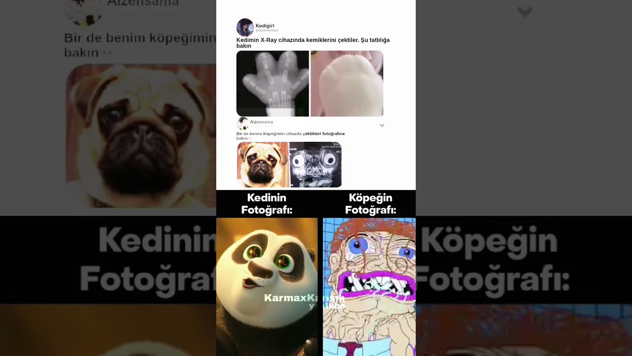 Köpek çok korkunç