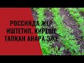 Россияда жер иштетип, киреше тапкан Анара эже