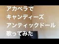 アカペラでキャンディーズ アンティックドール 歌ってみた