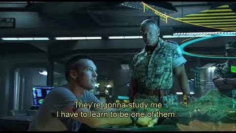 inter 2- unit 3- wish - video 9