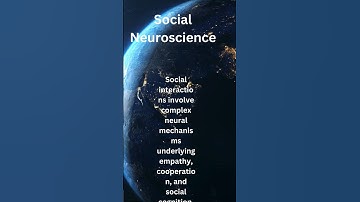 Unveiling the Neural Secrets of Social Interactions