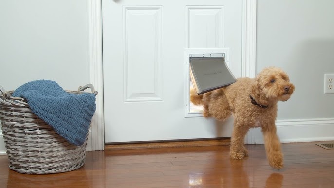 Puerta Mosquitera Reforzada Para Gatos Qwr, Se Adapta Al Tam