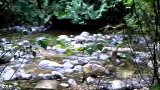 059 - Sept 23, 2012 - Lang Creek by Hatchery (Video #1).mp4