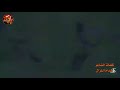 صدفه التقينا صدفه