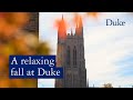 Fall-ing for Duke 🍂