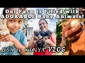 So Many Baby Animals on Our Farm! || Kenya Village Life || Vlog