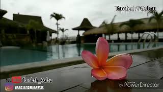 History keren Bondan ♡Bunga♡