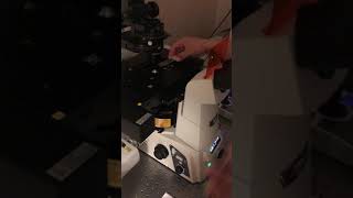 Basic confocal tutorial part 2