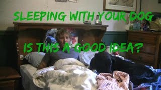 Sleeping With Your Dog: Good or Bad?