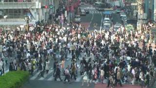 Shibuya Crossing, Tokyo