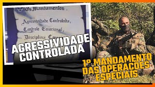 Agressividade Controlada - 1 Mandamento Dos O.e