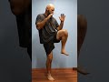 How to do front and rear kick v2. 🟨 Yellow belt series. #karatetraining #selfdefense #boxingtraining