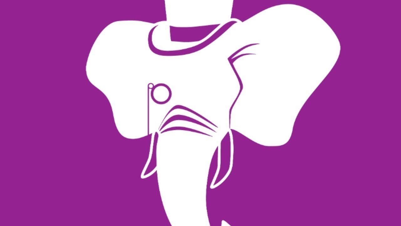 Ask the Elephant (Q & A) for June 8th, 2020