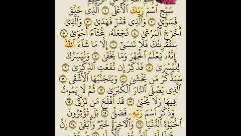 سوره الاعلي القاريء محمد عبد الفتاح ❤️#القرآن_الكريم #الرحمن #المصحف #اكسبلور #لايك 