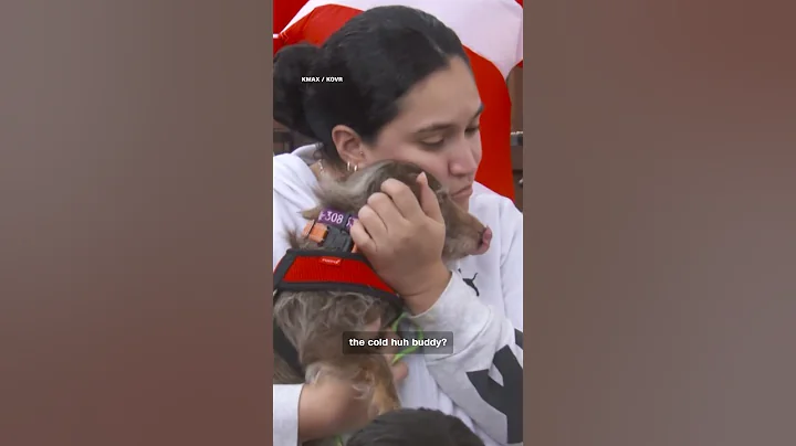 Dog returns home after missing for 5 years