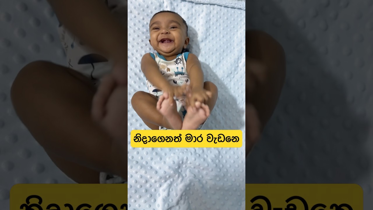 Busy even in sleep! 😴🕺 | අපේ පොඩ්ඩගේ වැඩ කෑලි! 😂 