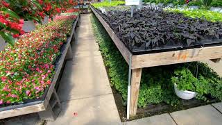 Daniels Farm And Greenhouse - Walk through April 2020