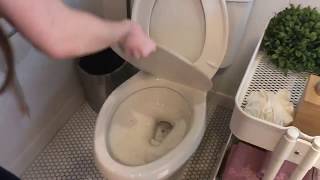 HOW TO GET FREE FOOD AT IKEA - FOOLPROOF