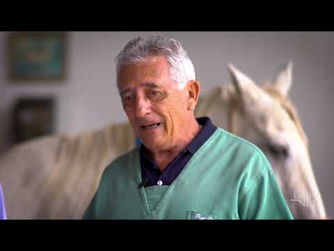 Vídeo: Surtos De Doenças Em Cavalos