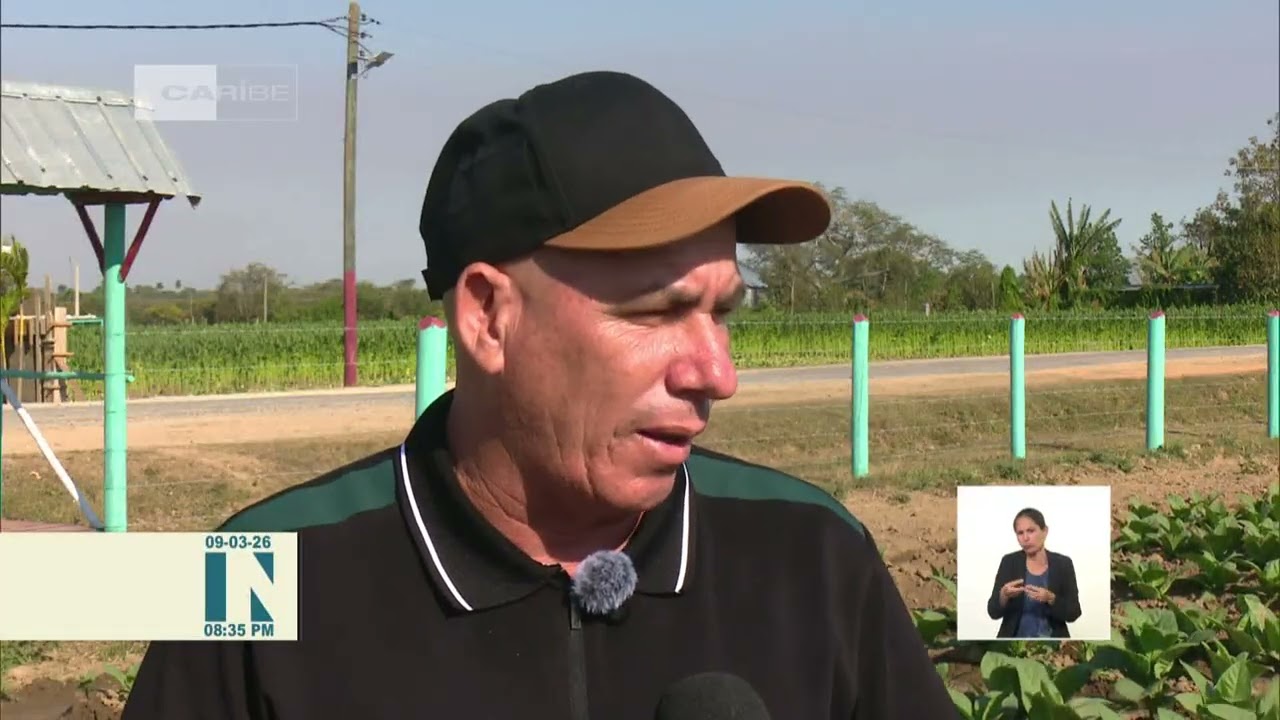 Energía limpia sostiene producción tabacalera en Pinar del Río