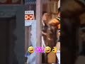 加藤茶と長介のやり取り(笑)😂👍#shortvideo #shortsyoutube #shorts #short #ドリフ大爆笑 #ドリフ #8時だよ全員集合