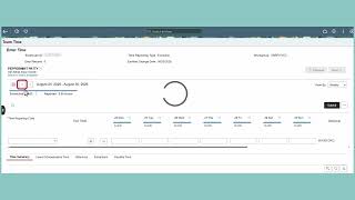 Making a Timesheet Adjustment
