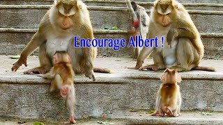 Awesome So Great Mama Ally Encourage Baby Albert Climb Up On The Step